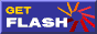 download flash